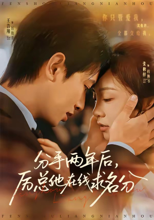 分手两年后，厉总他在线求名分（70集）我真的爱了