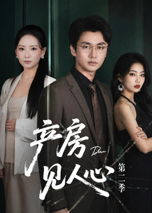产房见人心第二季（75集）短剧热播推荐