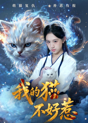 我的猫不好惹（42集）最火短剧推荐
