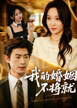 我的婚姻不将就(30集) 我的婚姻不将就(30集)看过的人都说好
