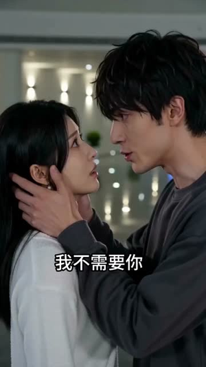 我藏锋芒，娇妻护我三年（48集）免费在线看全集