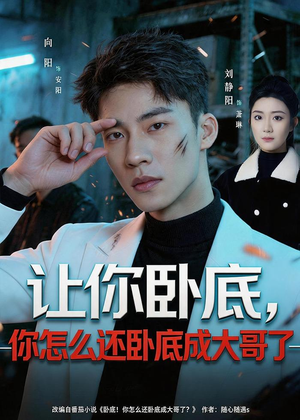 让你卧底，你怎么还卧成大哥了（80集）番茄短剧免费看