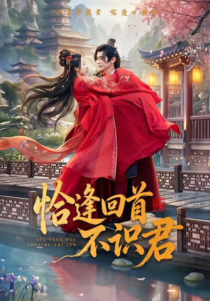 恰逢回首不识君（72集）精彩短剧上线