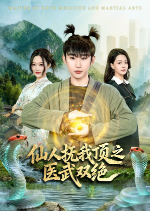 仙人抚我顶之医武双绝（66集）快来看短剧