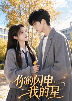 你的闪电，我的星（42集）独家资源免费看