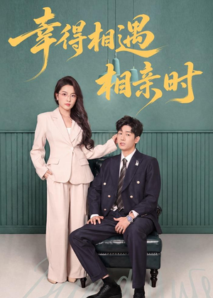 幸得相遇相亲时(80集) 幸得相遇相亲时(80集)短剧热播抢先看