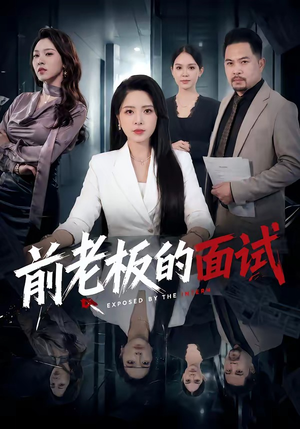 前老板的面试（45集）完整版免费观看