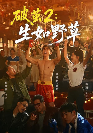 破茧2:生如野草(55集) 破茧2:生如野草(55集)免费看短剧全集