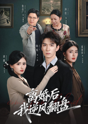 离婚后，我逆风翻盘（83集）短剧热门分享