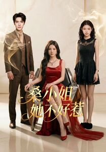 桑小姐她不好惹（103集）精彩短剧上线